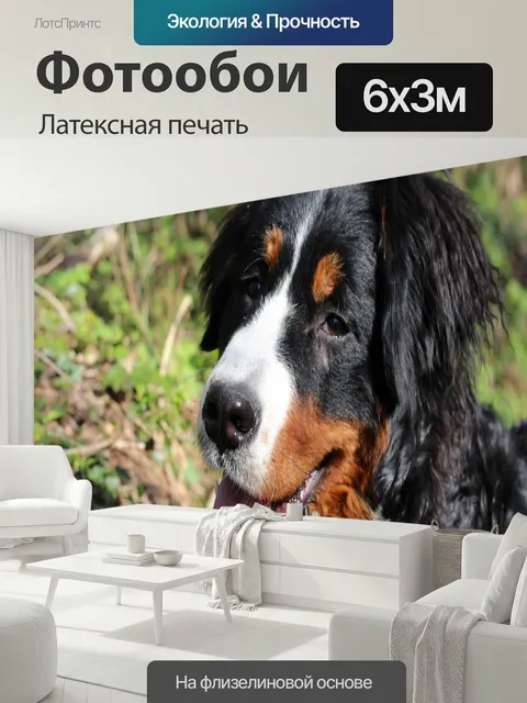 600 × 300 см · Латексная печать