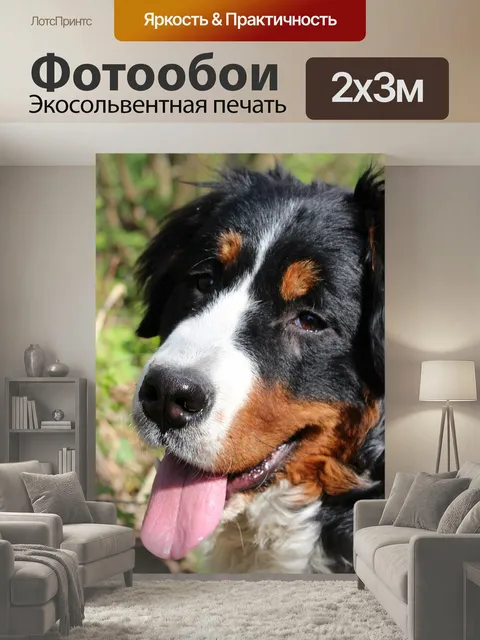 200 × 300 см · Экосольвентная печать