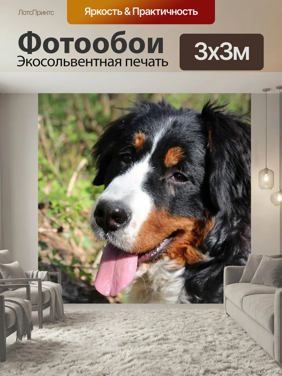 Фотообои Собака, бернский зенненхунд, животное