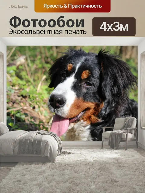 400 × 300 см · Экосольвентная печать
