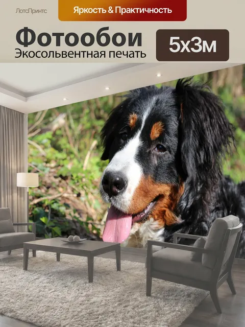500 × 300 см · Экосольвентная печать