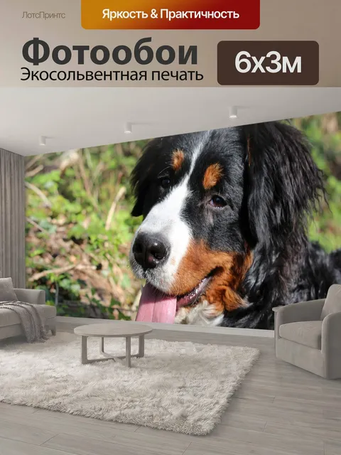 600 × 300 см · Экосольвентная печать