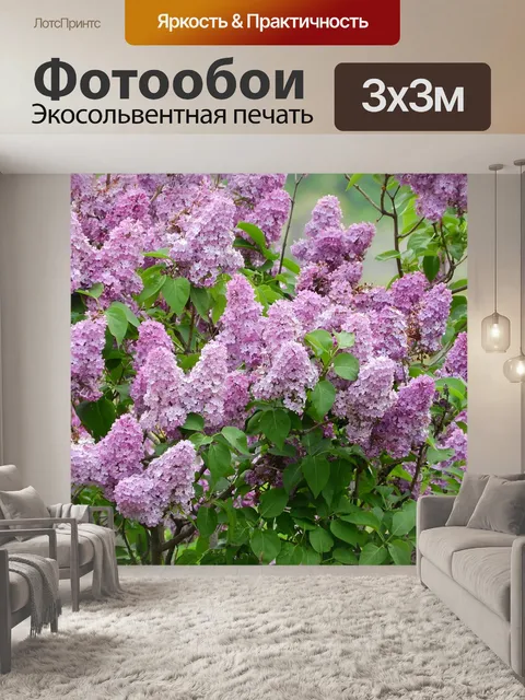 Фотообои Сирень, цветы, куст