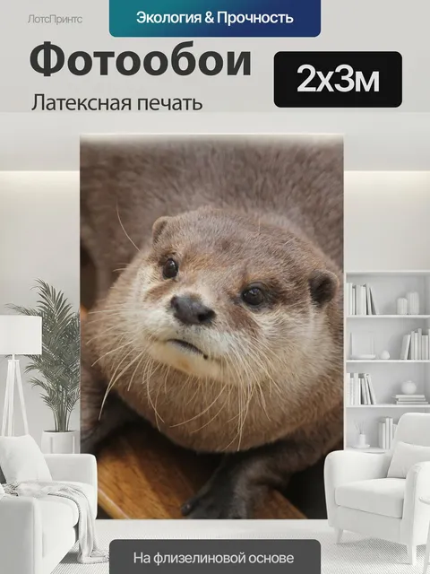 200 × 300 см · Латексная печать