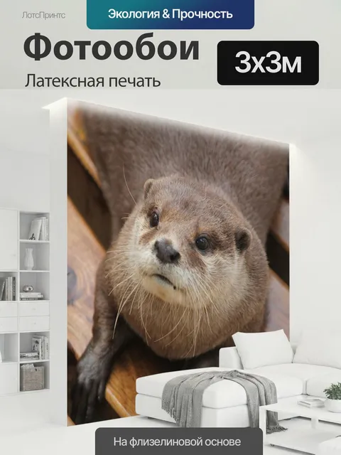 300 × 300 см · Латексная печать