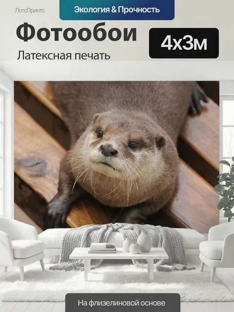 400 × 300 см · Латексная печать