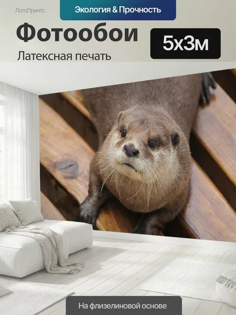 500 × 300 см · Латексная печать