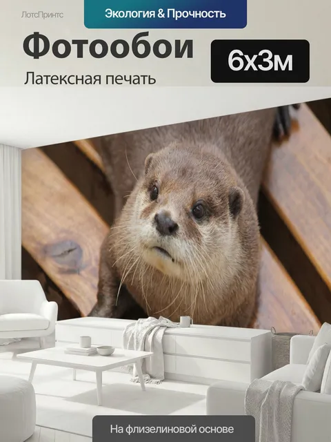 600 × 300 см · Латексная печать