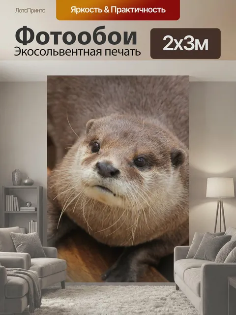 200 × 300 см · Экосольвентная печать