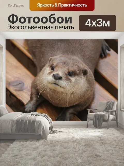 400 × 300 см · Экосольвентная печать