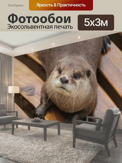 500 × 300 см · Экосольвентная печать