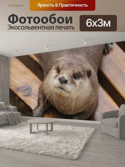 600 × 300 см · Экосольвентная печать