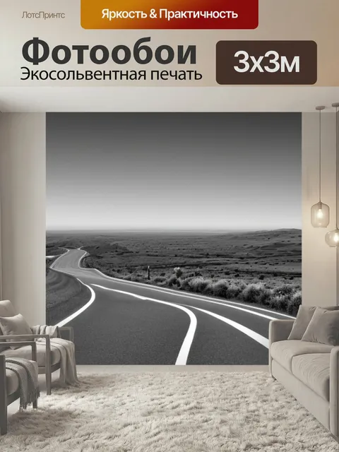 Фотообои Черно белый пейзаж с дорогой