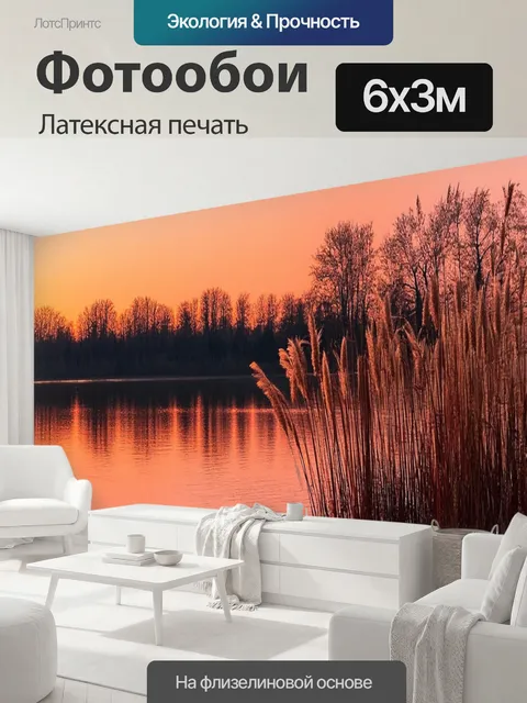 600 × 300 см · Латексная печать