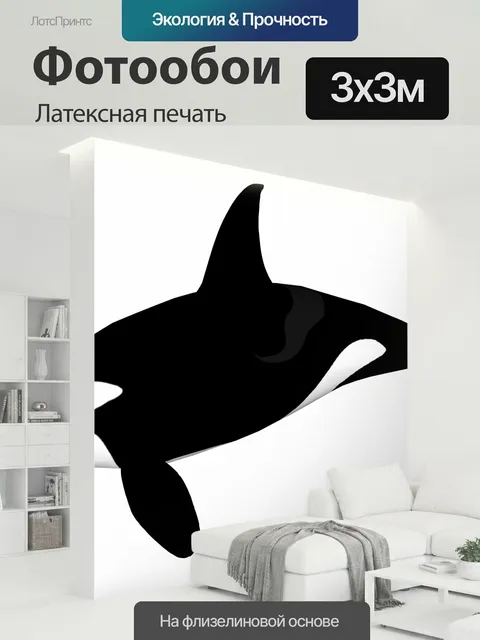 300 × 300 см · Латексная печать