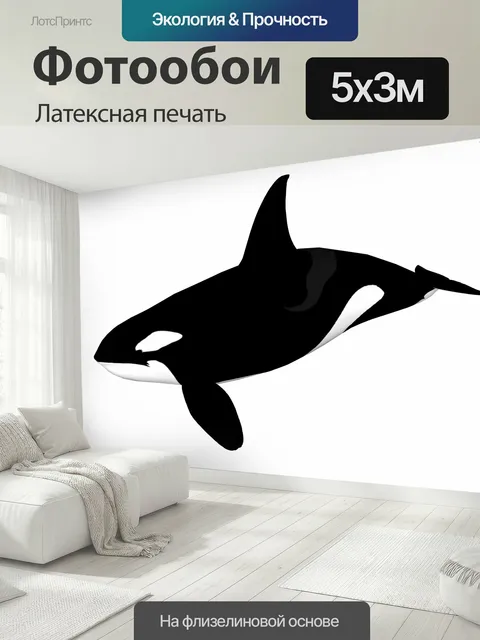 500 × 300 см · Латексная печать