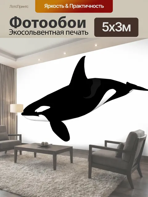 Фотообои Косатка чертеж косатки на белом фоне