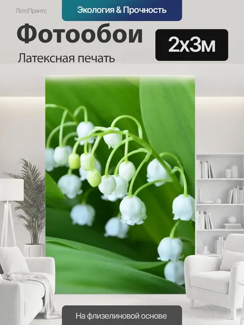 200 × 300 см · Латексная печать