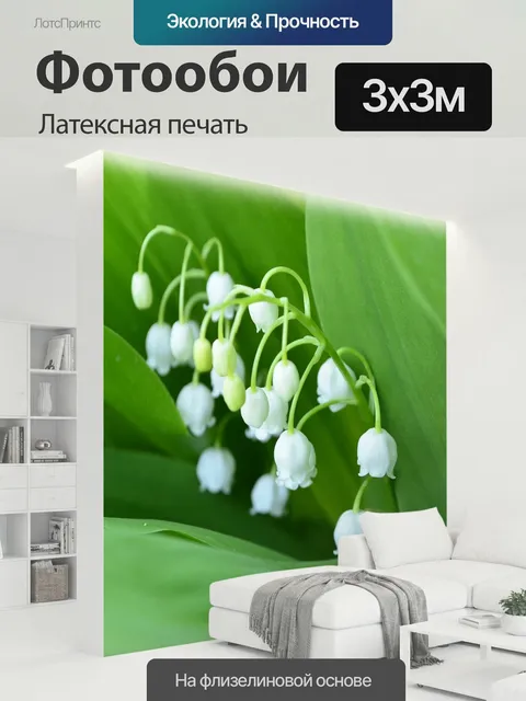 300 × 300 см · Латексная печать
