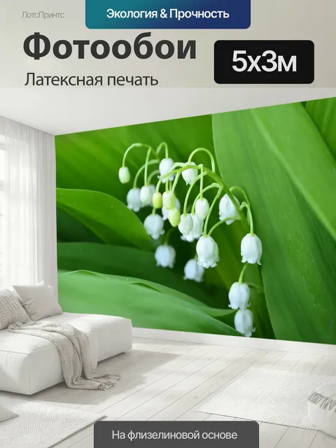 500 × 300 см · Латексная печать