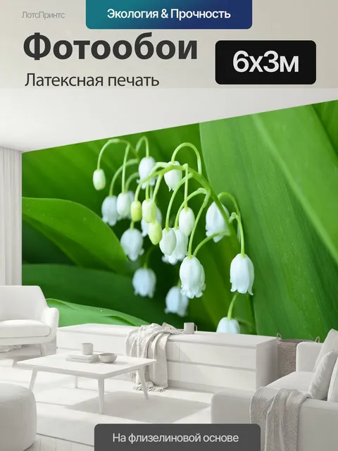 600 × 300 см · Латексная печать