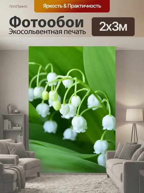 200 × 300 см · Экосольвентная печать