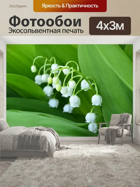 400 × 300 см · Экосольвентная печать