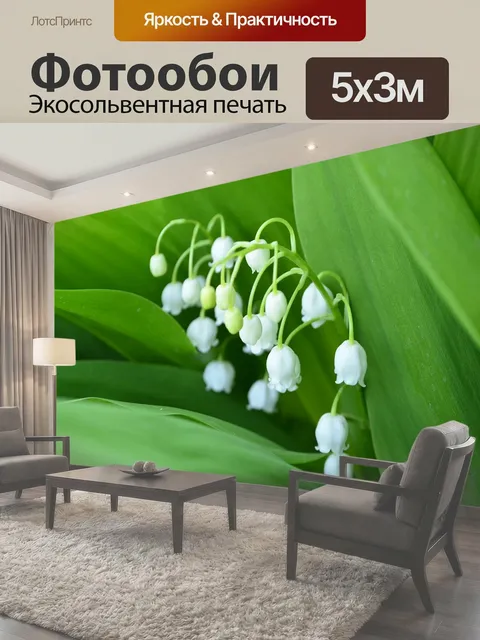 500 × 300 см · Экосольвентная печать