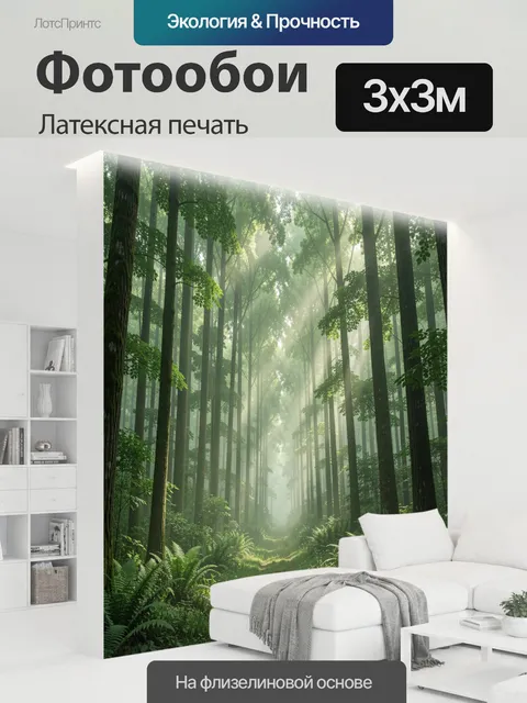 300 × 300 см · Латексная печать