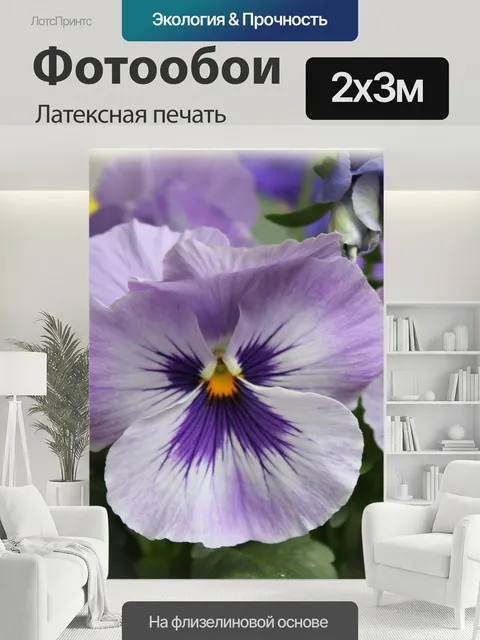 200 × 300 см · Латексная печать