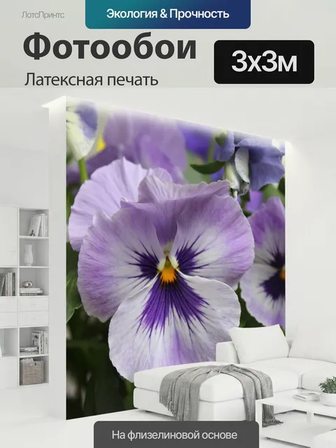 300 × 300 см · Латексная печать