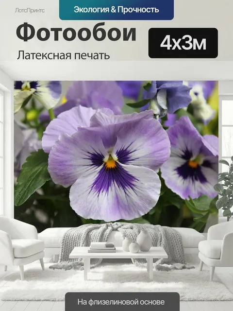 400 × 300 см · Латексная печать