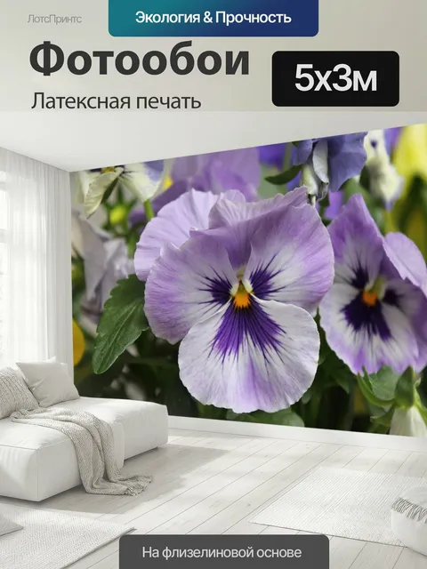 500 × 300 см · Латексная печать