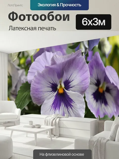 600 × 300 см · Латексная печать