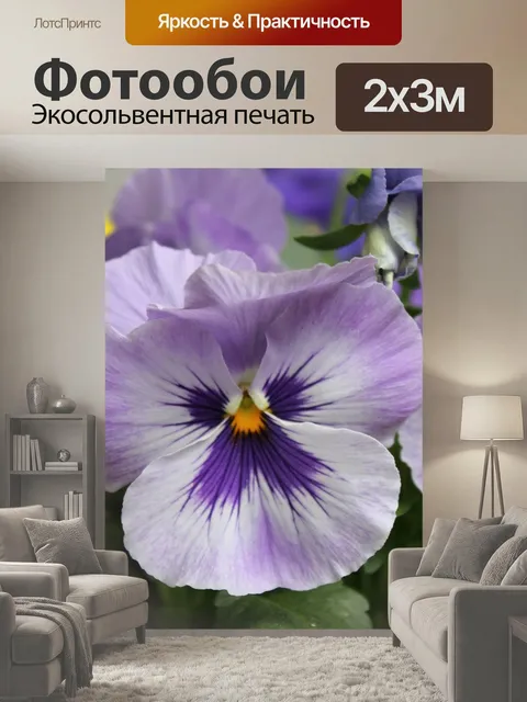 200 × 300 см · Экосольвентная печать