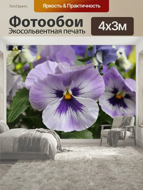 400 × 300 см · Экосольвентная печать