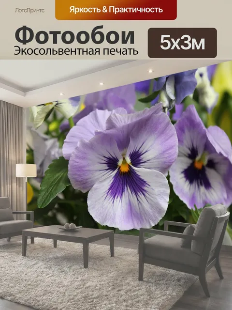 Фотообои Фон анютины глазки цветок цветение