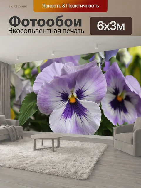 600 × 300 см · Экосольвентная печать