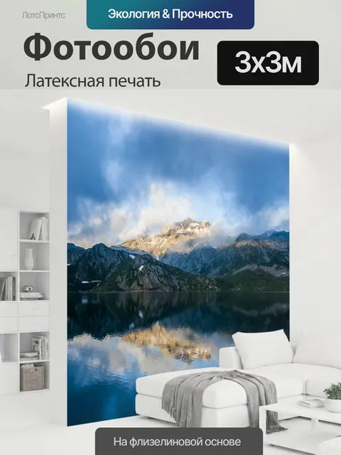 300 × 300 см · Латексная печать