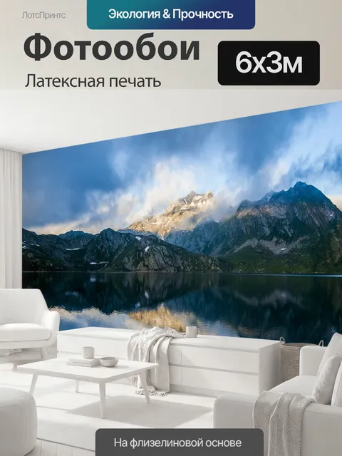 600 × 300 см · Латексная печать