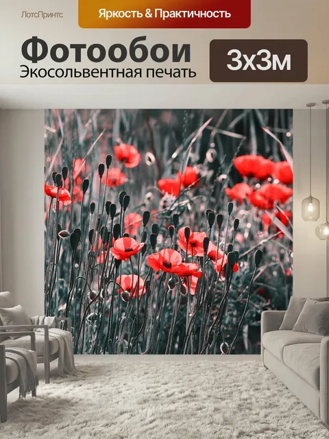 Фотообои Природа, растения, маки