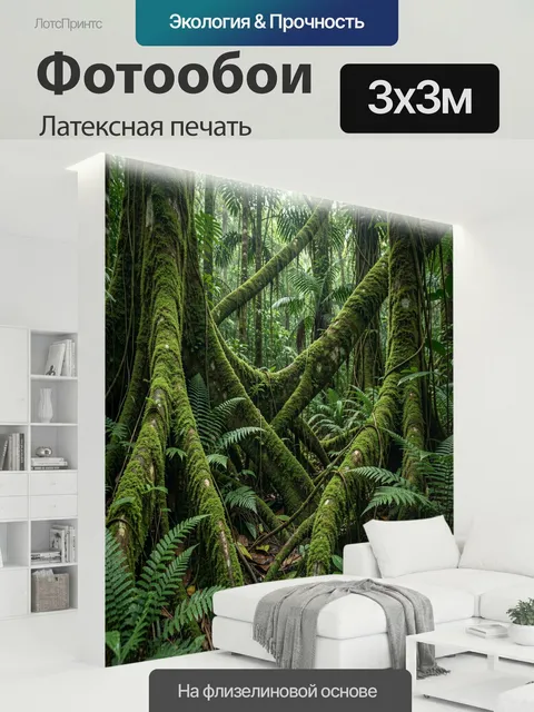 300 × 300 см · Латексная печать