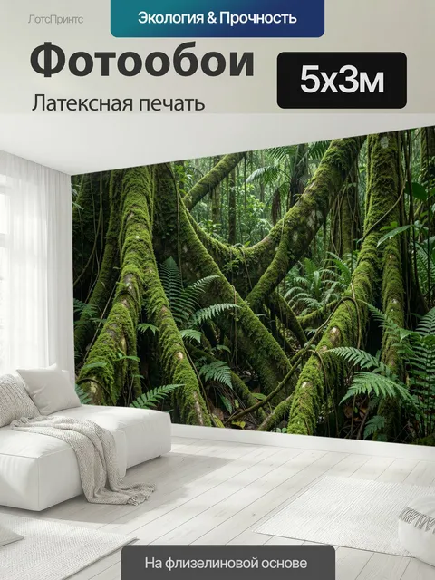 500 × 300 см · Латексная печать