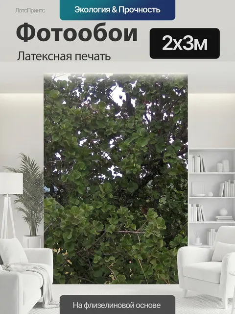 200 × 300 см · Латексная печать