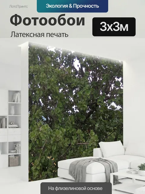 300 × 300 см · Латексная печать