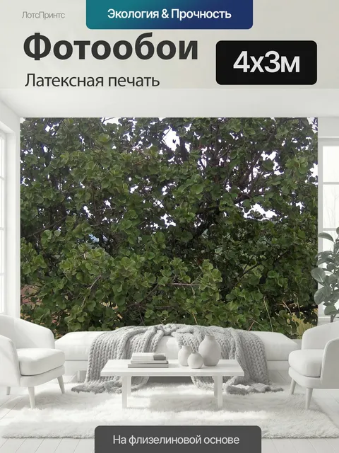 400 × 300 см · Латексная печать