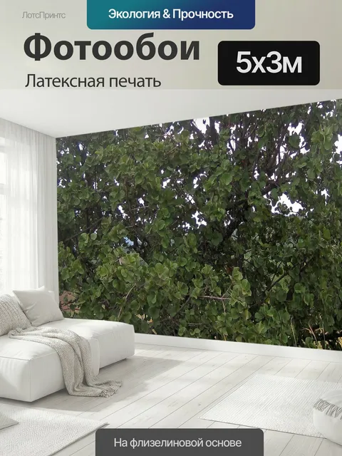 500 × 300 см · Латексная печать