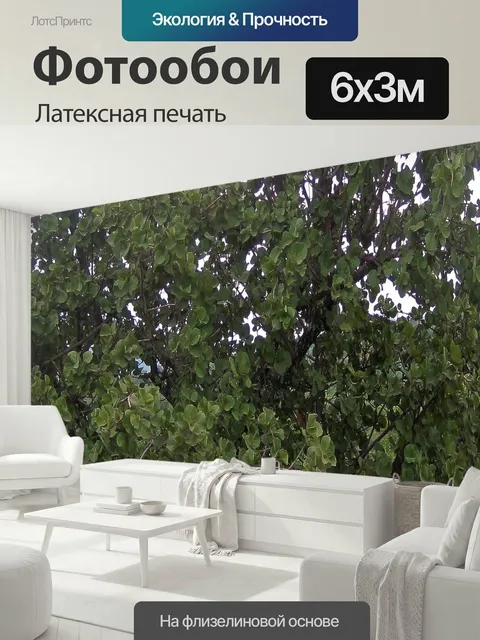 600 × 300 см · Латексная печать