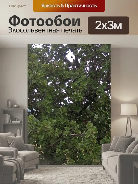 200 × 300 см · Экосольвентная печать