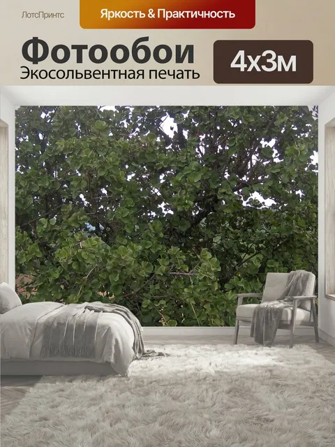 400 × 300 см · Экосольвентная печать
